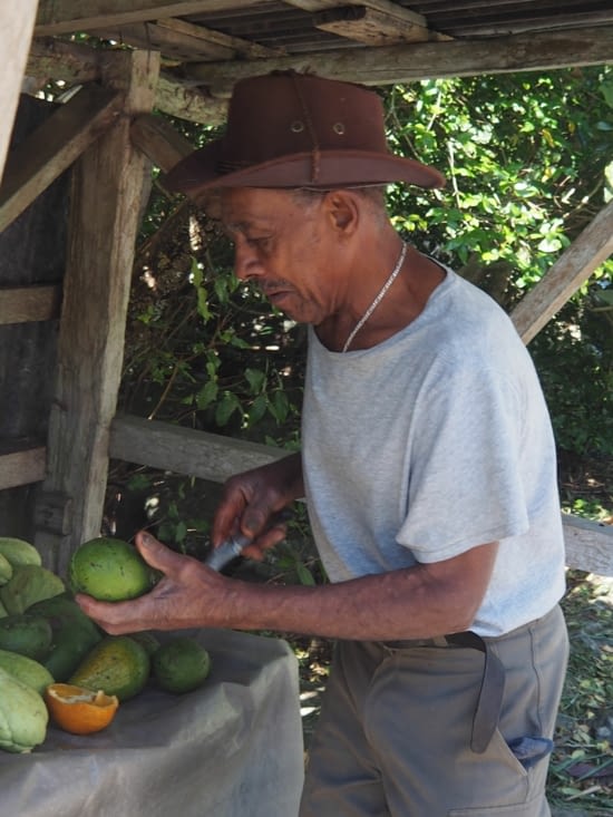Tonton nous fait gouter ses délicieux avocats