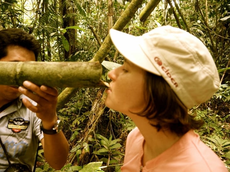 Yoyo peut survivre dans la jungle grâce aux bambous remplis d'eau