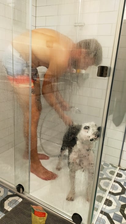 Puis une bonne douche pour Monsieur !