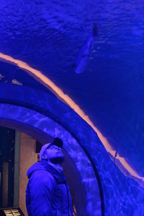 Passage dans un petit aquarium