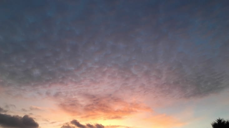 Fin de journée et nuit