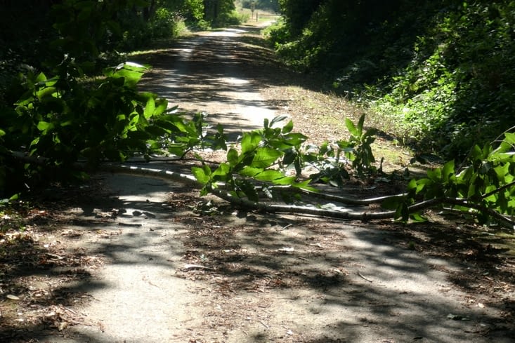 Conséquence du vent