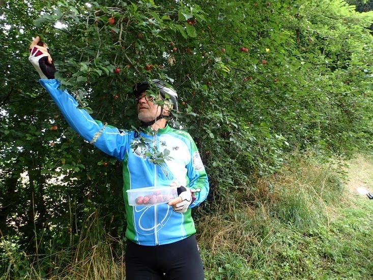 La statue de la Liberté  ? Non, juste quelques prunes cueillies en chemin.