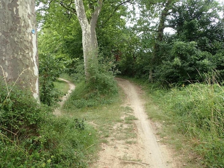 Dans l’Aude, les aménagements cyclables sont parfois inexistants.