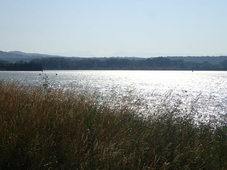 Magie des reflets du soleil sur le fleuve.