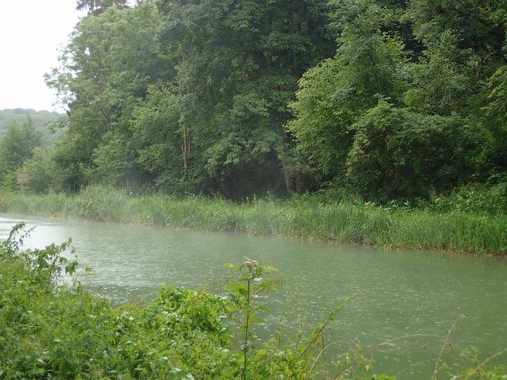 La pluie fait flotter la brume sur le canal.