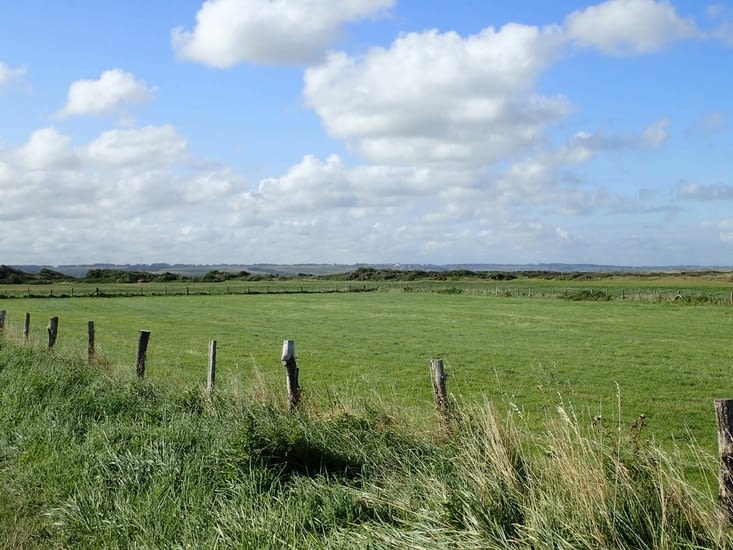 C'est encore la plaine mais les falaises de Mers-les-Bains et du Tréport se profilent.