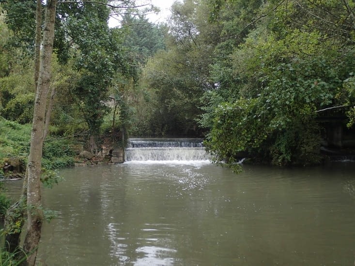 La Sarthe à  Le-Mêle-sur-Sarthe.