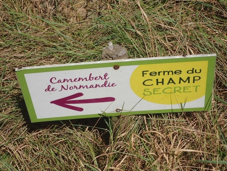 Le camemberts de Champsecret.