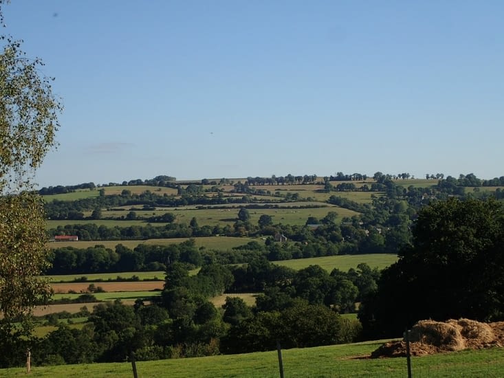 Le paysage vert de la ferme des Ber’Tommes.