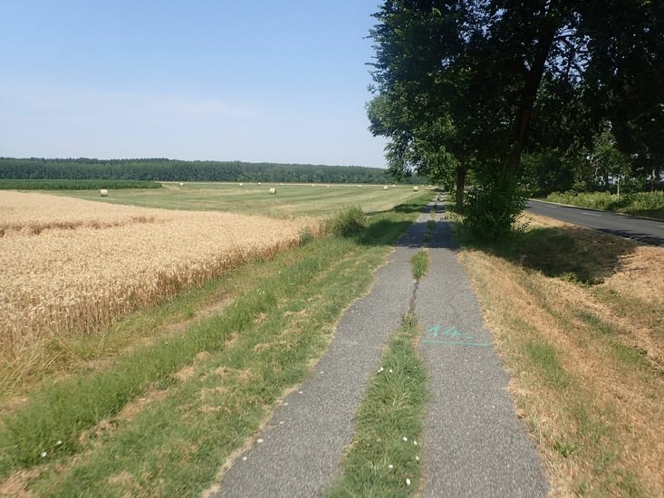 Typa vojo de la hodiaŭa etapo.