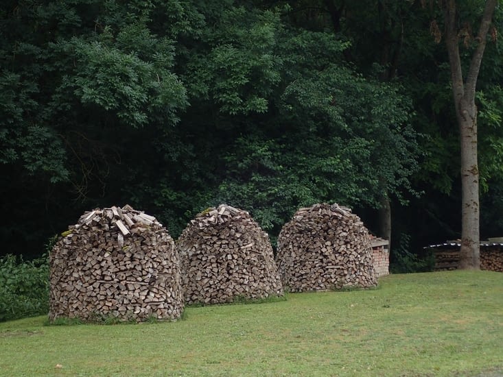 Vintro povas veni. La proprianto estas preta.