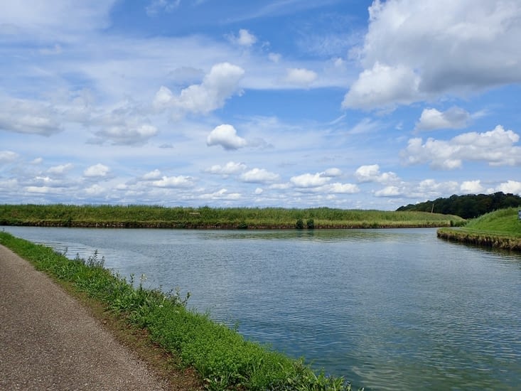 À gauche, le canal de la Marne au Rhin, à droite, celui des houillères de la Sarre.