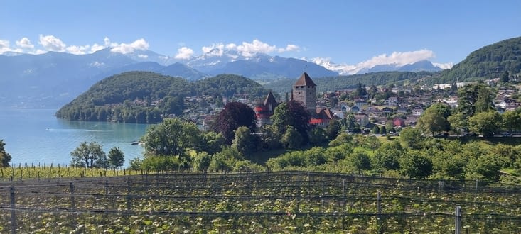Le vin est même très bon, si, si, Heinz à ouvert une bouteille pour l'apéro hier soit