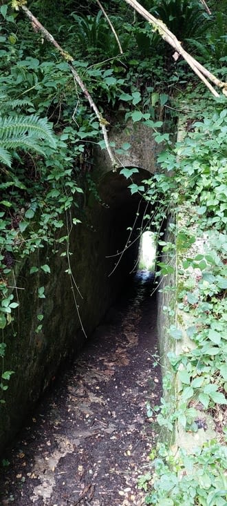 Tunnel à vaches