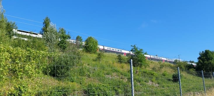Le chemin longeant la voie du TGV, il permet l'éloge de la lenteur...