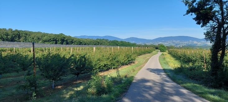 Je crois bien que c'est le Mont Pilat, par où je dois passer...