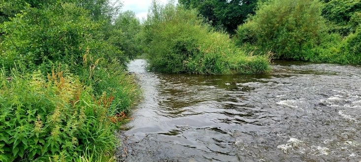 On longe La Borne...