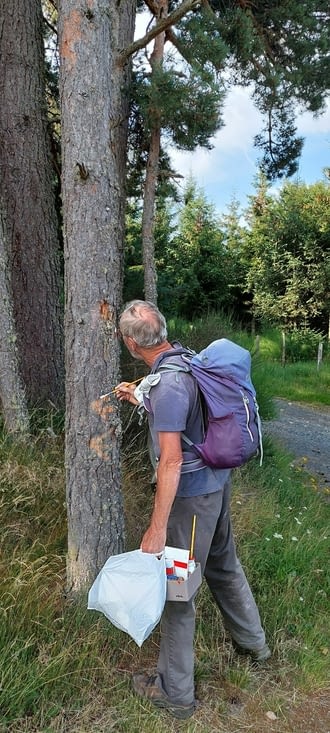 Un bénévole de la Fédération Française de Randonnée Pédestre entretient le balisage.