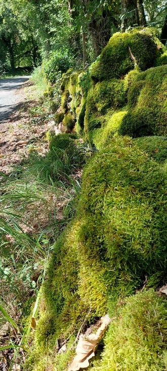 Sorry, j'ai pas pu choisir....