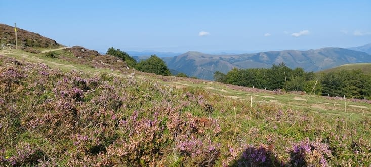 Vue depuis le col Lepoeder, point culminant à 1430m