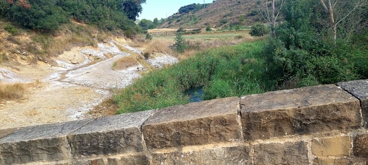 Le Rio Salado, salé comme son nom l'indique, sa source traverse des salines