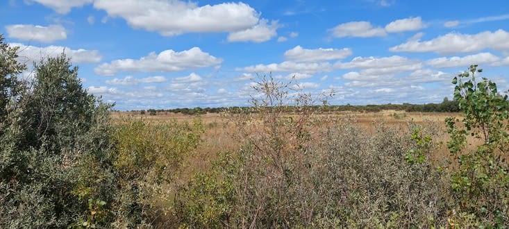 Et encore une ligne droite....