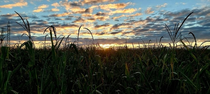 Le soleil aussi a fait la grasse mat'...