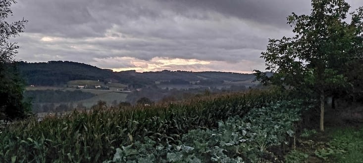 Plus tant de ces matins....