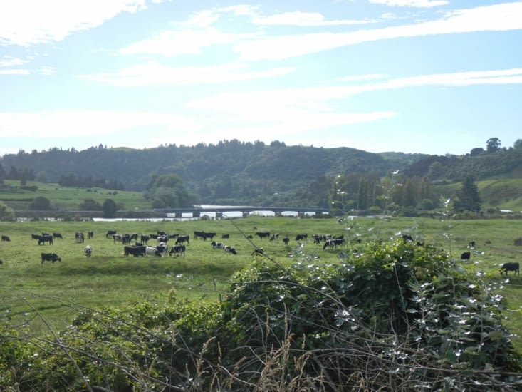 Bienvenue en Normandie