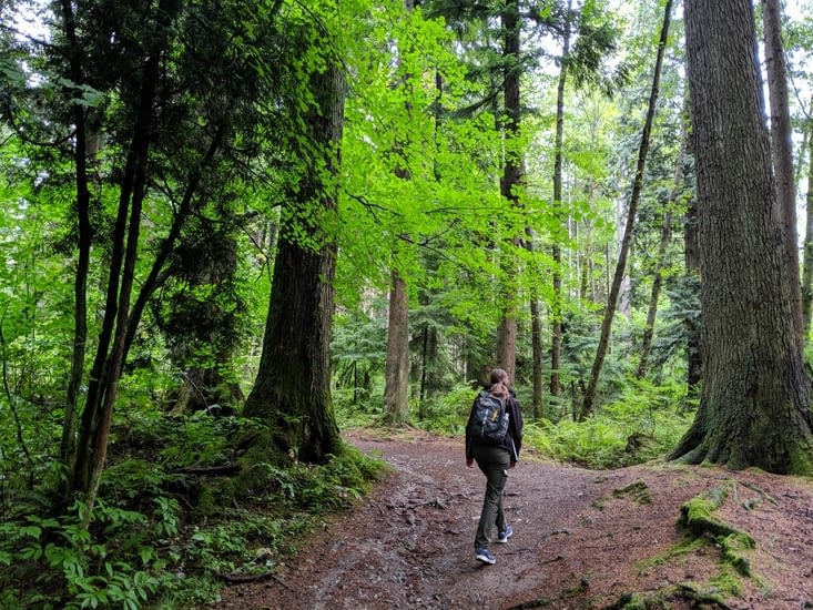 Balade dans Stanley park