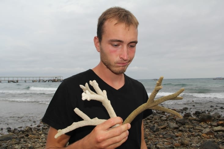 Coraux cassés retrouvés sur la plage