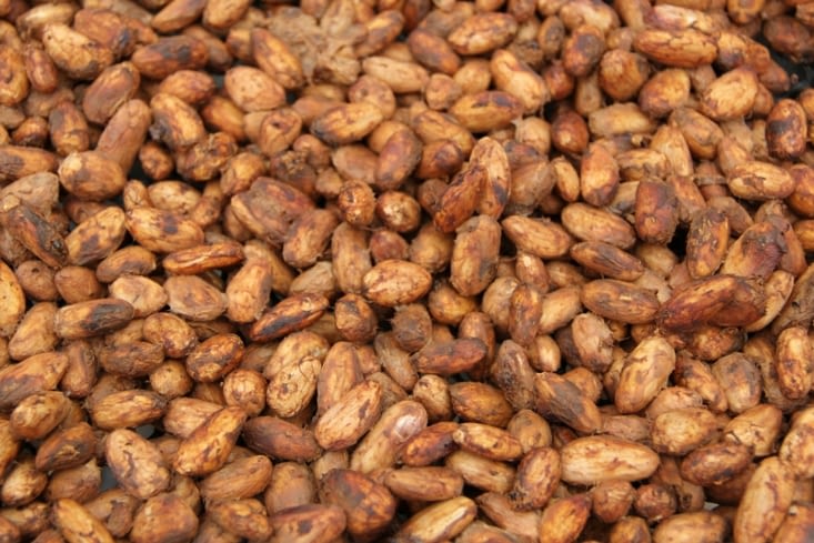 Séchage des fèves de cacao