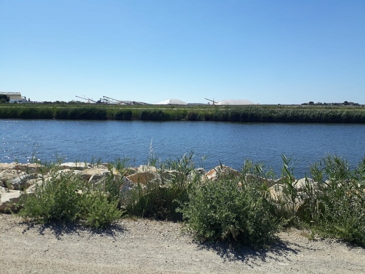 Les salins et "camelles" de camargue