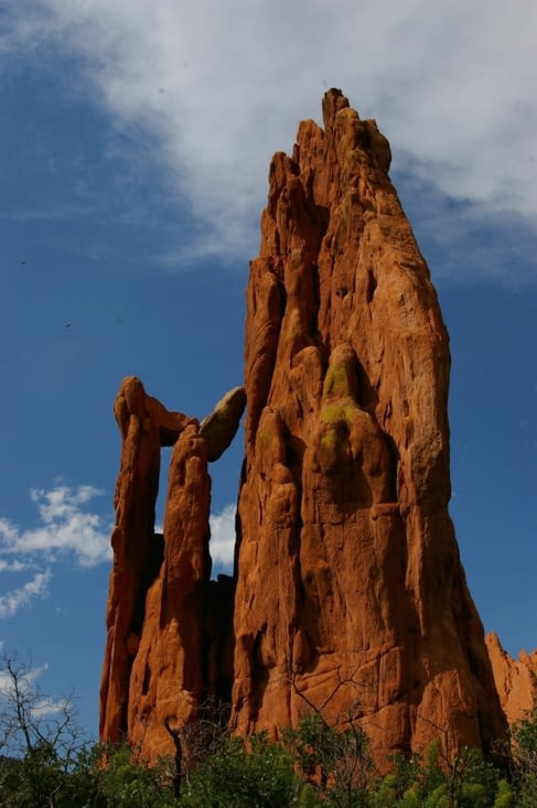The Garden of the Gods
