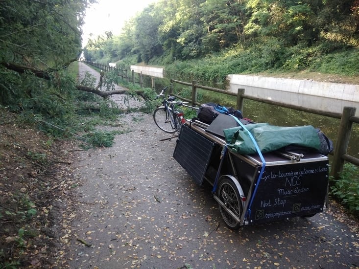 Un troisième arbre...