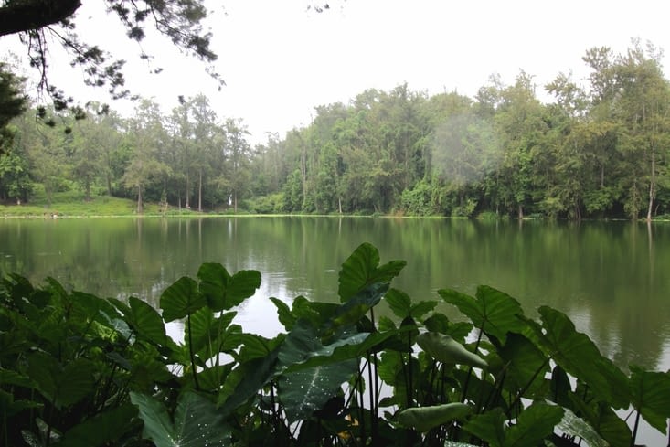 mare aux poules d'eau