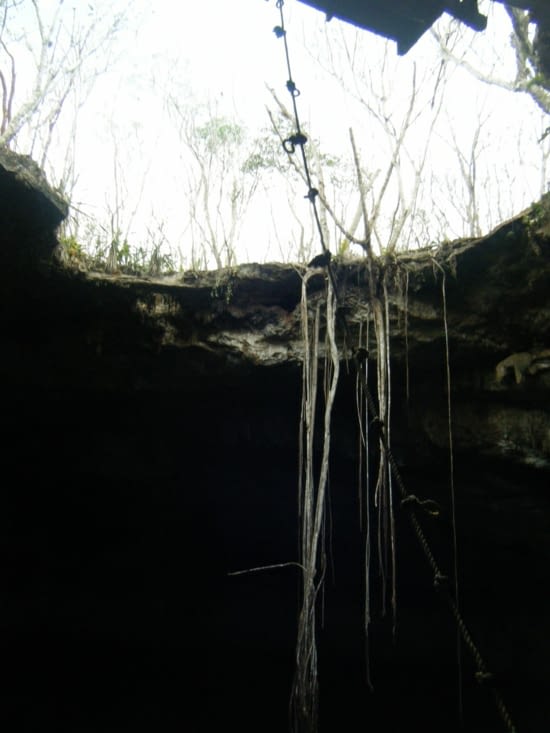 cenote nomozon