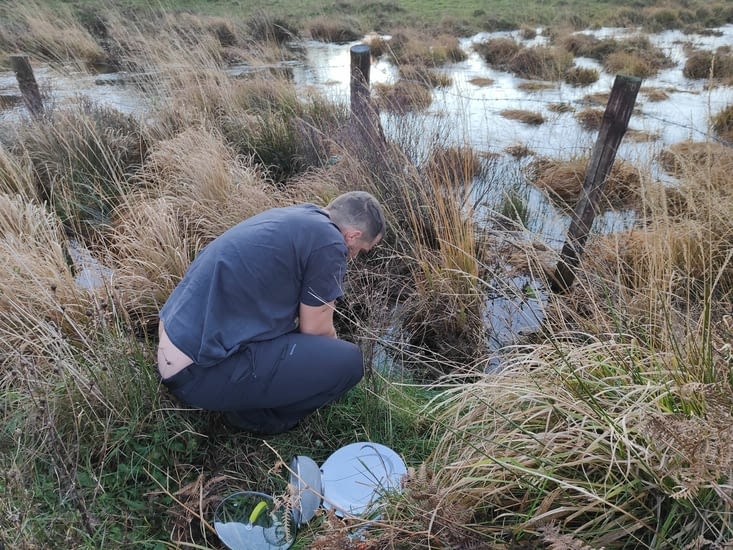 Traditionnelle vaisselle du matin