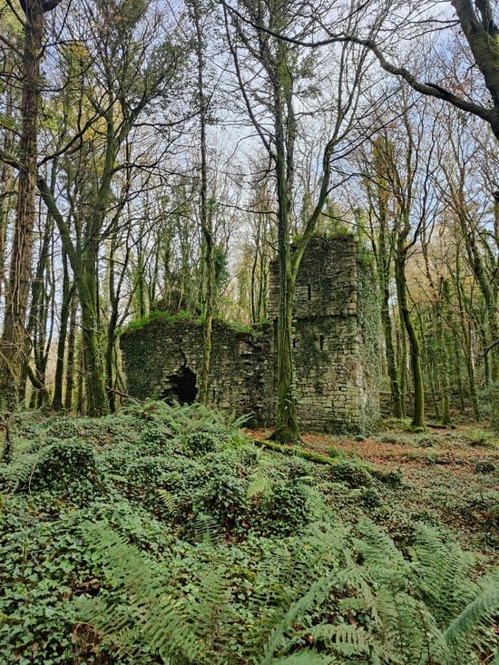 Ballykine castle
