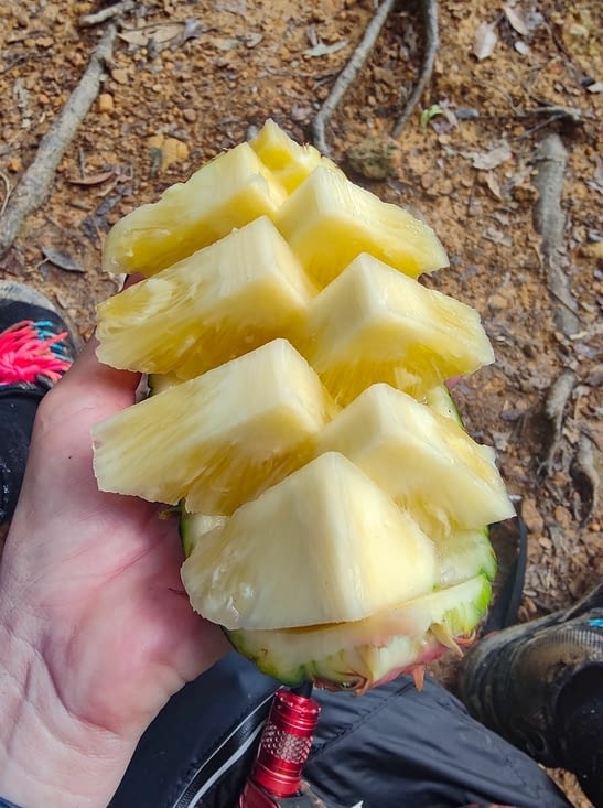 Pause ananas