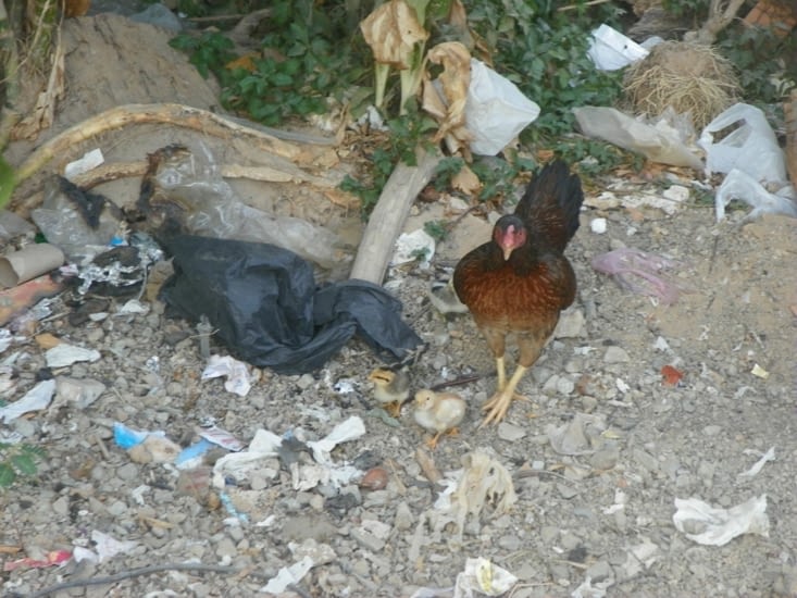 arrivée devant notre guest house