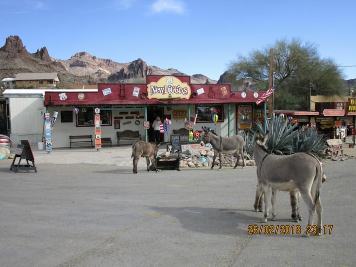 oatman
