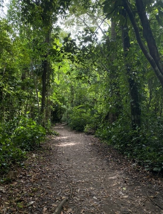 Sentier tranquille du parc national Cahuita