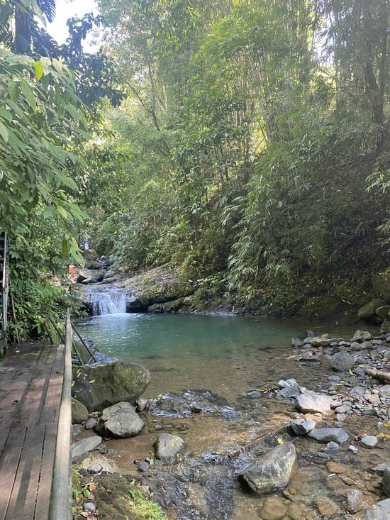 Les premiers bassins