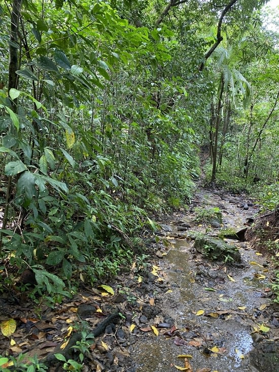 Chemin de plus en plus boueux dans le dernier tiers