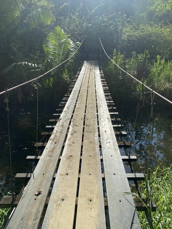 Notre premier pont suspendu au Costa Rica