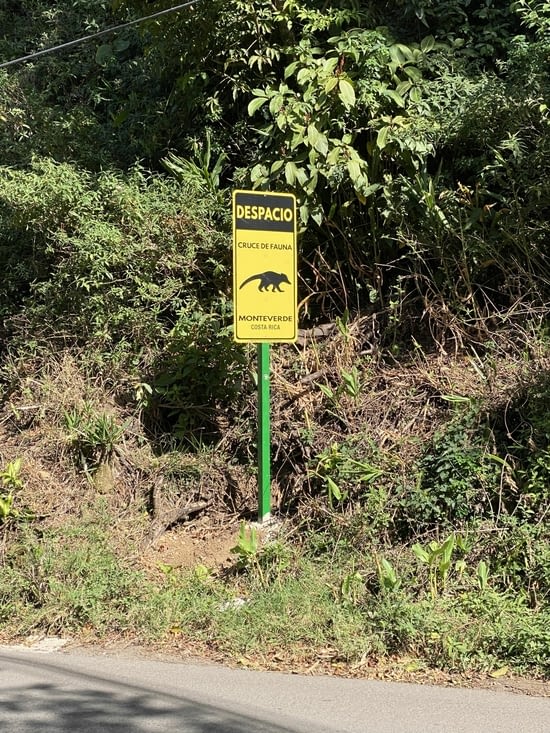 Beaucoup moins dangereux