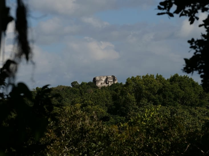 Temple perdu dans la jungle