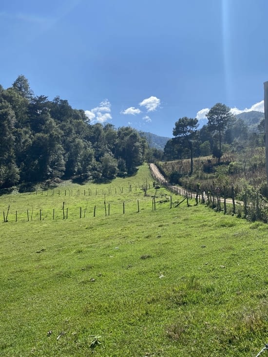 Les alpages du Guatemala